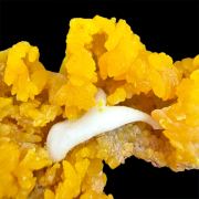 Mimetite, cerussite