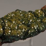 Pyromorphite on Malachite