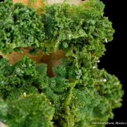 Pyromorphite on Quartz