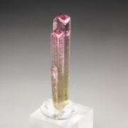 gem TOURMALINE var. ELBAITE bi-color