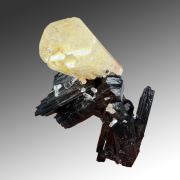 Beryl var. goshenite, tourmaline