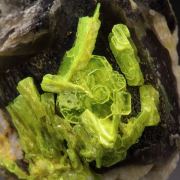 AUTUNITE, QUARTZ var. SMOKY