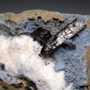 Neptunite