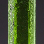 Peridot