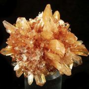 Creedite