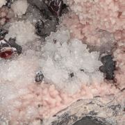 Argyrodite  & Polybasite & Proustite