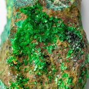 Torbernite, Kasolite