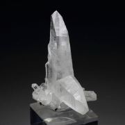 QUARTZ var. JAPAN LAW TWIN