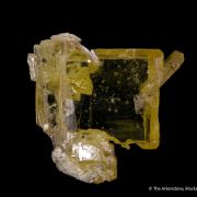 Wulfenite