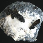 Neptunite on Natrolite