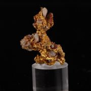 Gold with Quartz