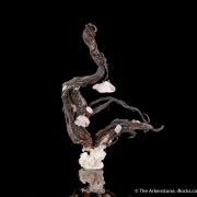 Native Silver with Calcite