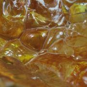 Opal / (variety - “Opal-AN”) / (variety - “Hyalite Opal”) / (“Blood Vessel Opal”)