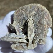 Quartz ( pseudomorph of Gypsum )