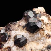 Almandine Garnet on Albite