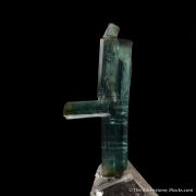 Indicolite Tourmaline on Quartz