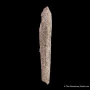 Quartz ps. Aegirine