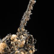 Silver with Calcite