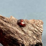 Garnet (almandine) - Fort Wrangell, Alaska, USA