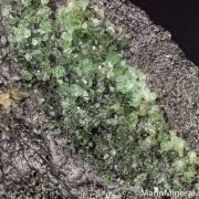 Tsavorite, Diopside on Graphite