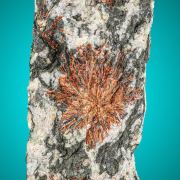 Normandite  VERY RARE