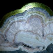 Baryte, marcasite