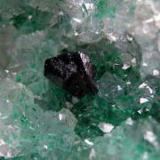 Clinoatacamite