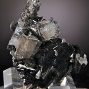 Beryl (var. Goshenite) on Schorl