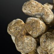 Meteorite - Pallasite with Magnetite - unusual