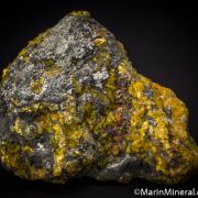 Realgar and Orpiment replacing fossil coral