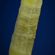 Ettringite
