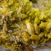 Pyromorphite