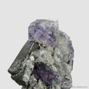 Wolframite and Fluorite with Pyrite