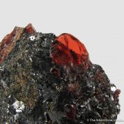 Rhodonite gem crystal in Galena