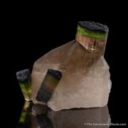 Elbaite Tourmaline with Quartz