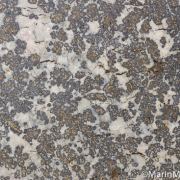 Silver in Calcite
