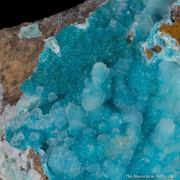 Adamite (Cuprian and REE-enriched)