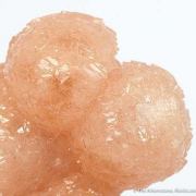 Olmiite