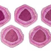 Tourmaline Var. Liddicoatite