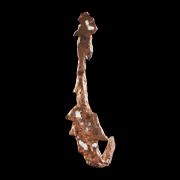Copper (Anchor / Halberd) - White Pine Mine, Ontonagon County, Michigan, USA