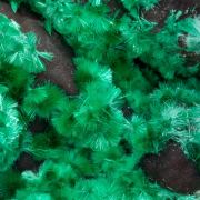 Brochantite