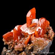 Wulfenite