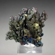 CHALCOCITE, DJURLEITE