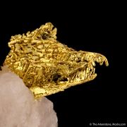 Gold with Quartz