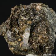 Actinolite on Wollastonite
