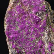 Purpurite