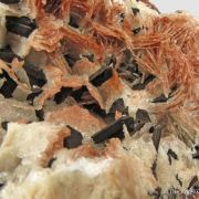 Chalcocite (twinned) on Calcite