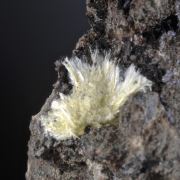 Boltwoodite
