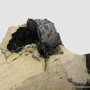 Covellite (Illustrated!)