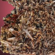 Mimetite 